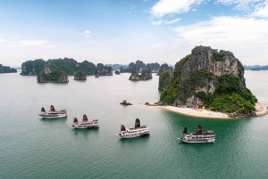 Bai Tu Long Bay: 3-Day & 2-Night Swan Cruises