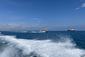 Amazing Cham island snorkeling from Da Nang and Hoi An
