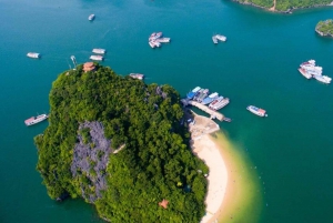 Amethyst Day Cruise - Ylellinen päiväristeily tutustu Halong Bayhin