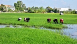 Authentic Mekong