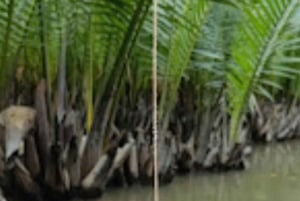 Hoi An: Korgbåt & krabbfiske & matlagningskurs