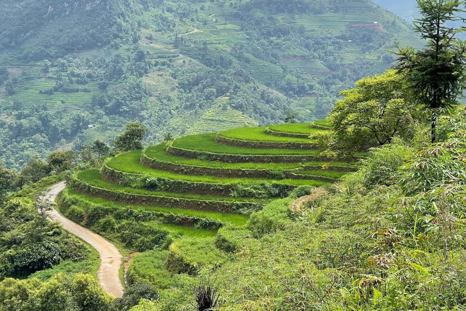 Бак Ха: живописный и культурный тур с обедом