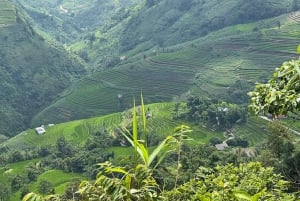 Бак Ха: живописный и культурный тур с обедом