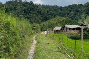 Бак Ха: живописный и культурный тур с обедом