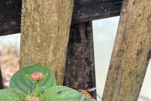 Бак Ха: живописный и культурный тур с обедом