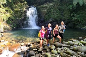 De Da Nang ou Hoi An: Caminhada e almoço no Parque Nacional Bach Ma