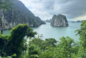 Bai Tu Long Bay: dagcruise - kleine groep