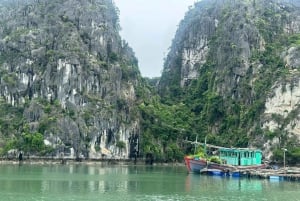 Bai Tu Long Bay: dagcruise - kleine groep