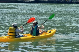 Bai Tu Long Bay: dagcruise - kleine groep