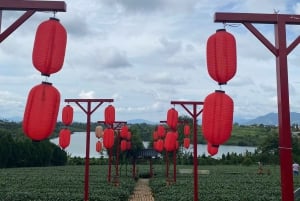 Bao Loc: Cloud Hunting and City Exploration Tour