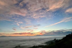 Bao Loc: Cloud Hunting and City Exploration Tour