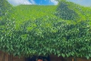 Bao Loc: Molnjakt och stadsvandring