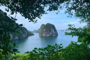 ЛУЧШИЙ ДНЕВНОЙ КРУИЗ Откройте для себя нетронутую красоту залива Бай Ту Лонг.