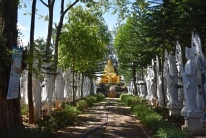 Det bästa av Da Lat på två dagar: camping, SUP och canyoning