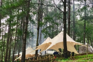 Det bästa av Da Lat på två dagar: camping, SUP och canyoning