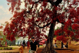 Best seller Historical Discovery Tour of Dien Bien Phu