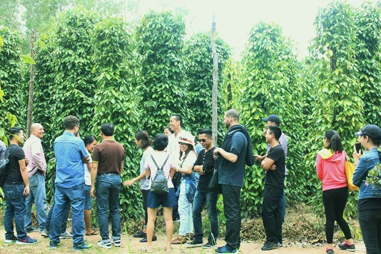 Bästsäljare Dagstur med lunch på södra Phu Quoc-ön