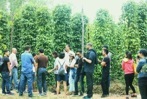 Bästsäljare Dagstur med lunch på södra Phu Quoc-ön
