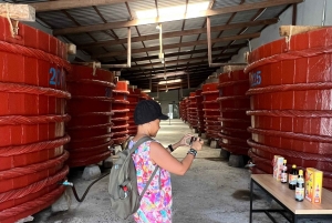 Bästsäljare Dagstur med lunch på södra Phu Quoc-ön