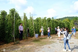 Bästsäljare Dagstur med lunch på södra Phu Quoc-ön