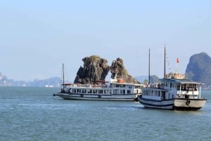 Z Hanoi: Wycieczka 1-dniowa po Zatoce Halong Deluxe Cruise