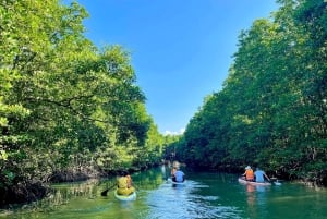 Binh Dinh: Kryssning till Con Chim-öarna, tur med kampsportskurs