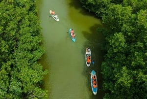 Binh Dinh: Kryssning till Con Chim-öarna, tur med kampsportskurs