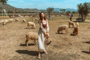 Binh Lap Tour Hang Rai - Sheep Field - Vinh Hy -Grape Garden