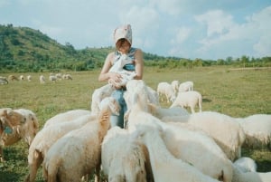 Binh Lap Tour Hang Rai - Sheep Field - Vinh Hy -Grape Garden