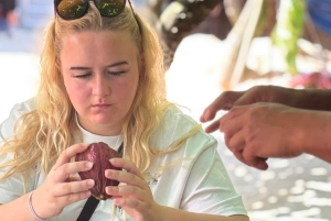 Buôn Ma Thuột: Von der Bohne zur Tafel – Kakaofarm- und Fabrikbesichtigung