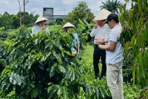 Buon Ma Thuot: Visita a uma fazenda de café Bean to Brew com degustação