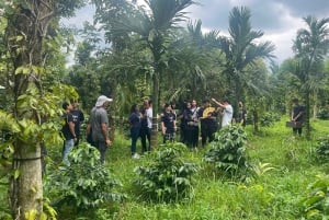 Buon Ma Thuot : Visite d'une ferme de café (Bean to Brew) avec prise en charge