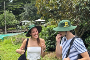 Buon Ma Thuot: Kaffegårdstur (Bean to Brew) med henting