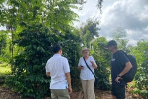 Buon Ma Thuot: Kaffegårdstur (Bean to Brew) med henting