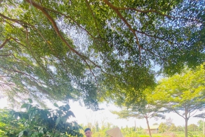 Buon Ma Thuot: Kaffegårdstur (Bean to Brew) med henting