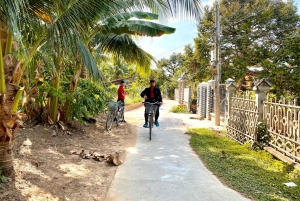 Mekong Delta tour to Cai Be – Tan Phong Island full day