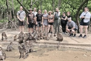 Excursion d'une journée à Can Gio : singes, crocodiles, canoë et déjeuner de fruits de mer