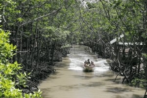 Excursion d'une journée à Can Gio : singes, crocodiles, canoë et déjeuner de fruits de mer