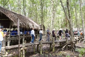 Excursion d'une journée à Can Gio : singes, crocodiles, canoë et déjeuner de fruits de mer