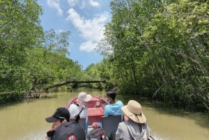 Excursion d'une journée à Can Gio : singes, crocodiles, canoë et déjeuner de fruits de mer