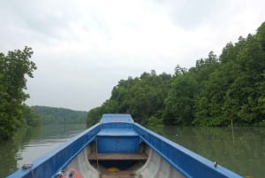 Excursion d'une journée à Can Gio : singes, crocodiles, canoë et déjeuner de fruits de mer