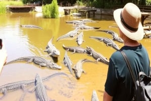 Excursion d'une journée à Can Gio : singes, crocodiles, canoë et déjeuner de fruits de mer