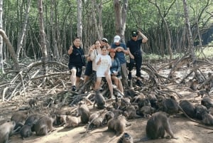 Excursion d'une journée à Can Gio : singes, crocodiles, canoë et déjeuner de fruits de mer