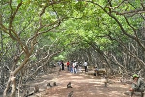 Excursion d'une journée à Can Gio : singes, crocodiles, canoë et déjeuner de fruits de mer