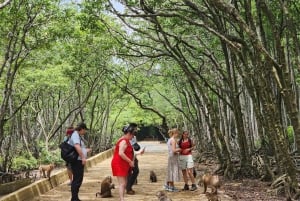 Ho Chi Minh: Can Gio Mangrove und Monkey Island