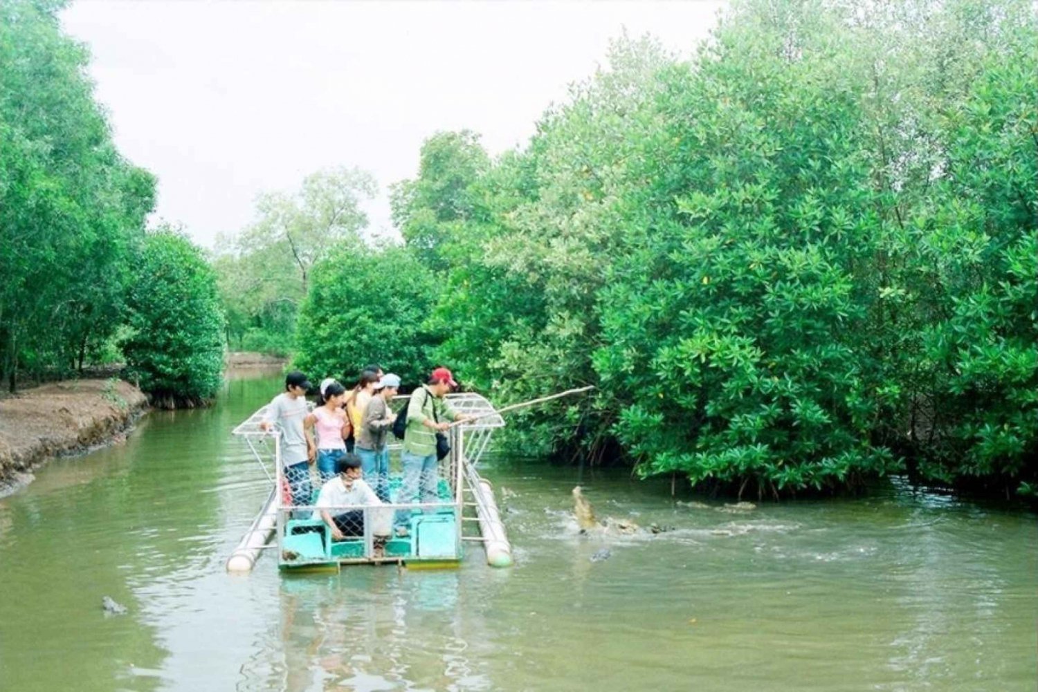 Floresta de mangue de Can Gio