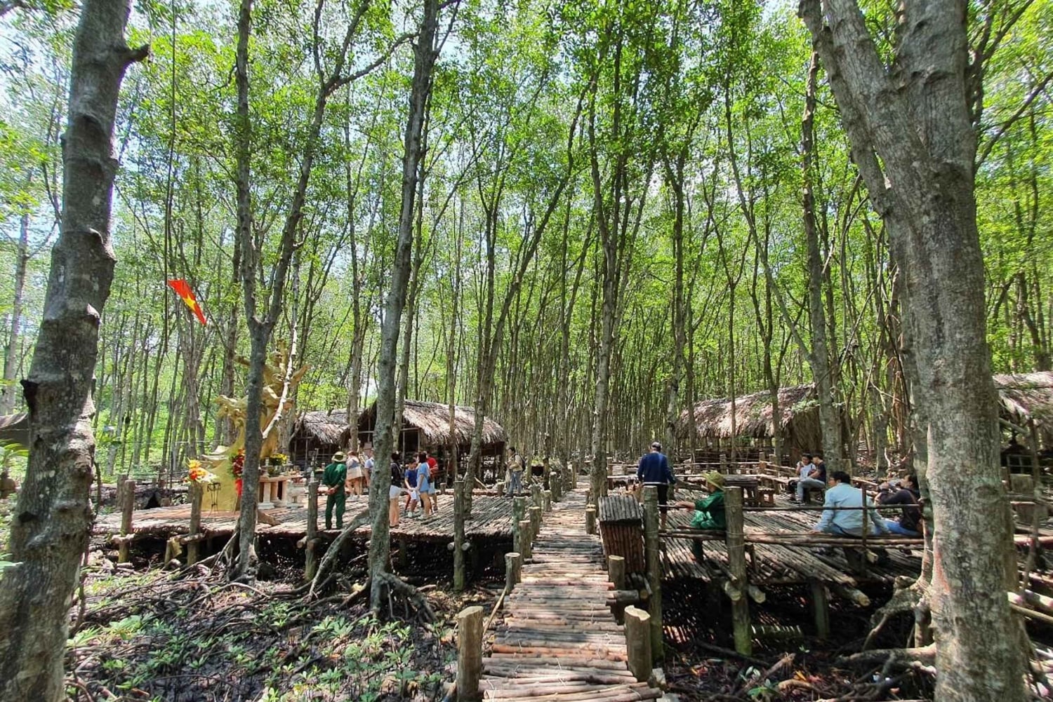 カンギオ：モンキーアイランド、ゲリラキャンプ、マングローブ林