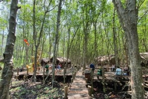 Can Gio: Apen-eiland, Guerrillakamp, Mangrovebos