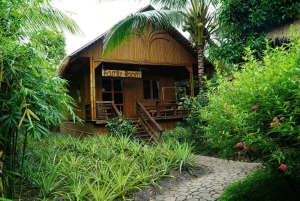 Can Tho 3D2N: Cycling, Nature Reserve & Floating Market