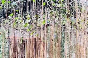 Can Tho: Authentic Floating Market, Wild Canal system, Cocoa